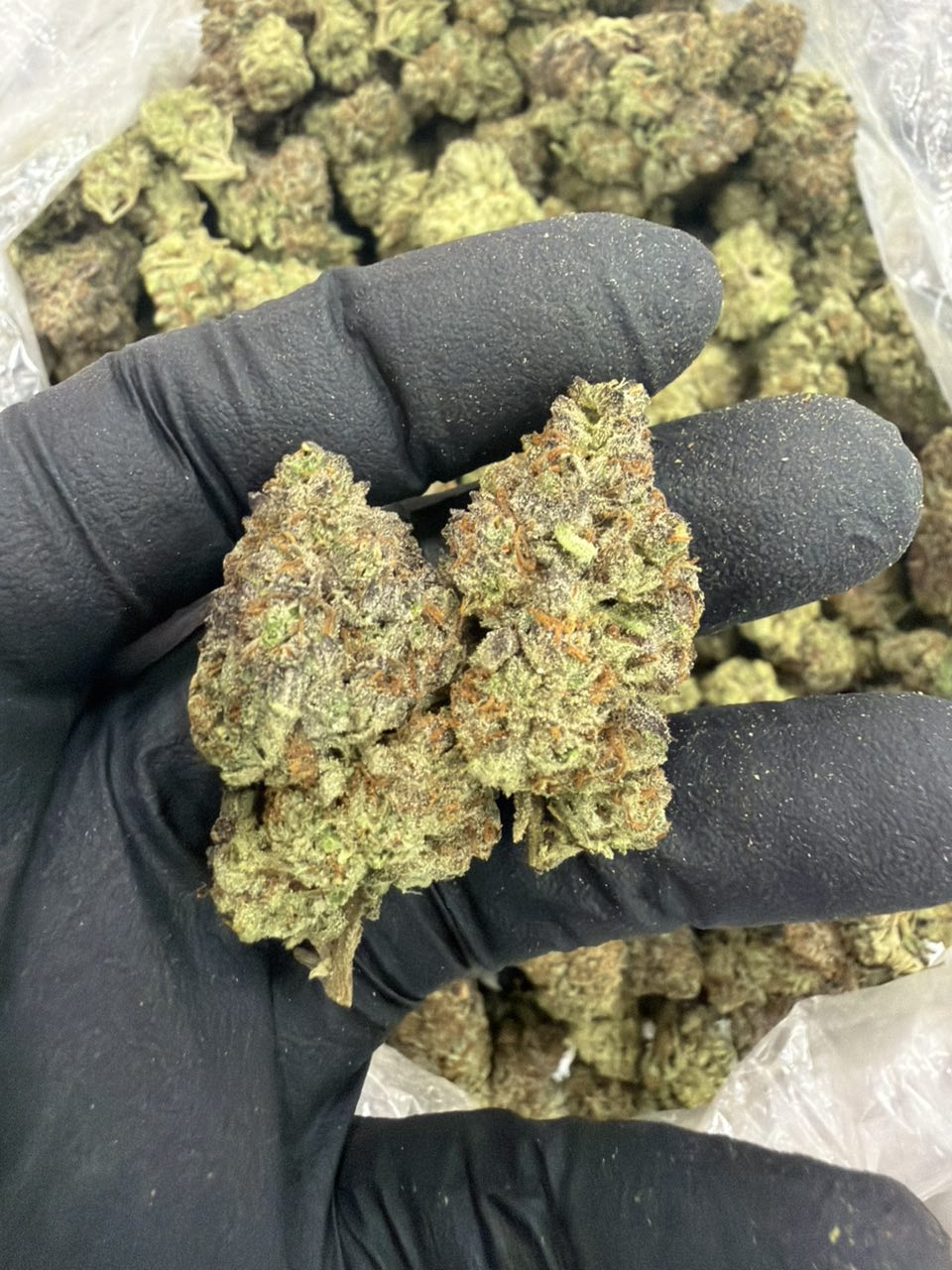 Yellow Runtz Deps — Hybrid available in Los Angeles