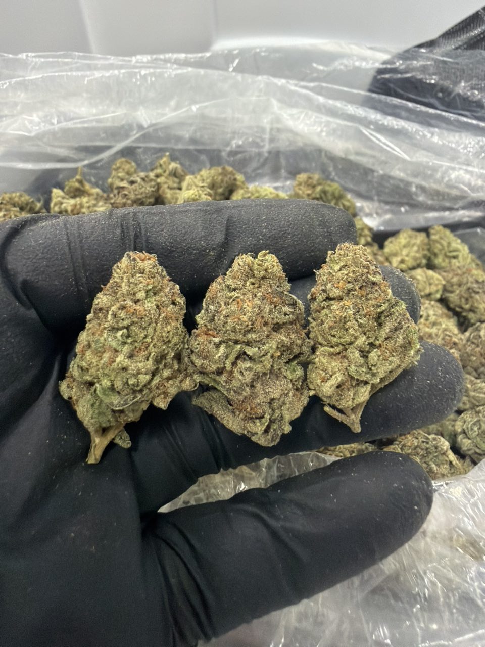 Mod Grape Deps — Indica available in Los Angeles