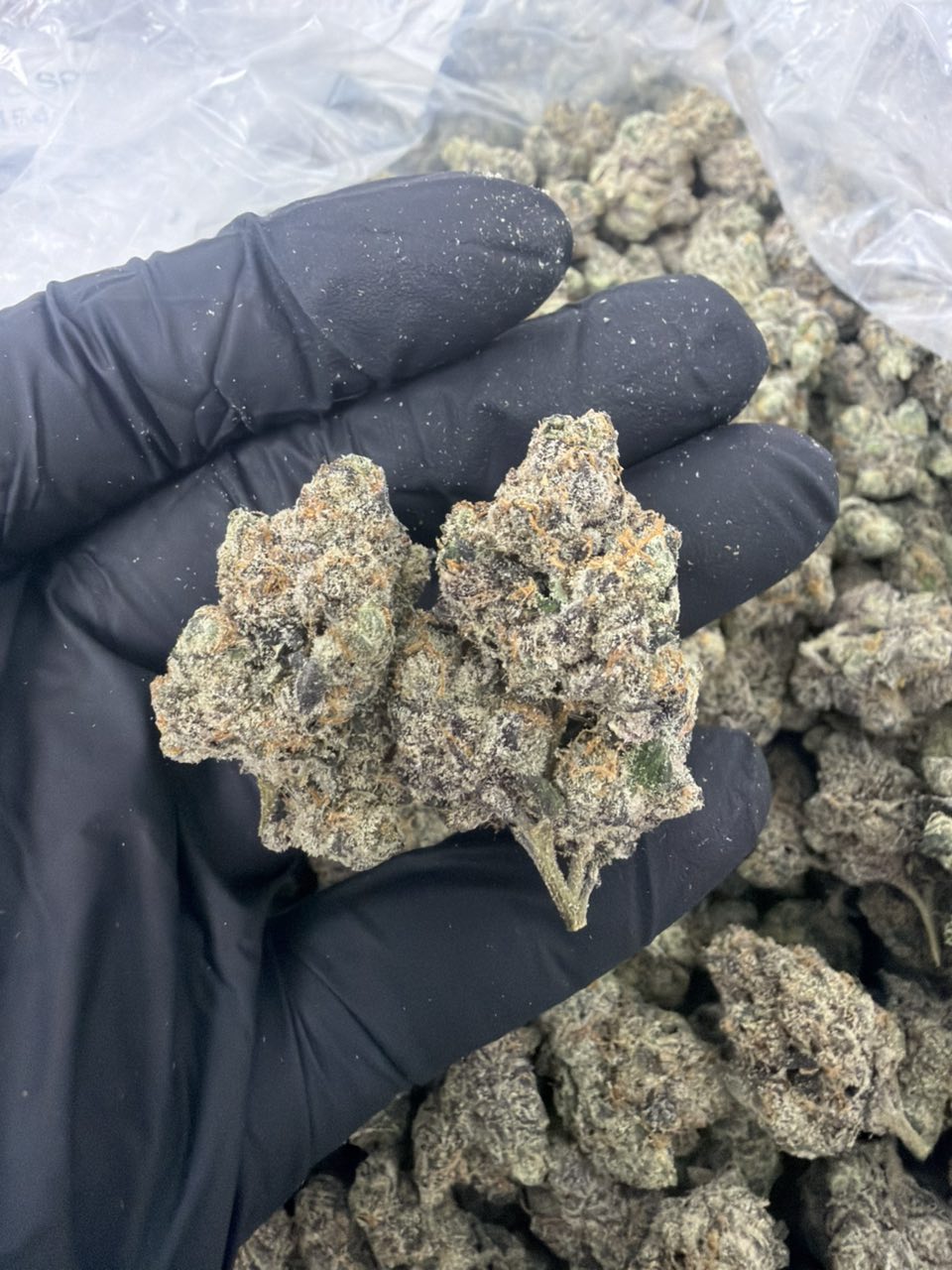 Green Runtz 🍭 Gage — Hybrid available in Los Angeles