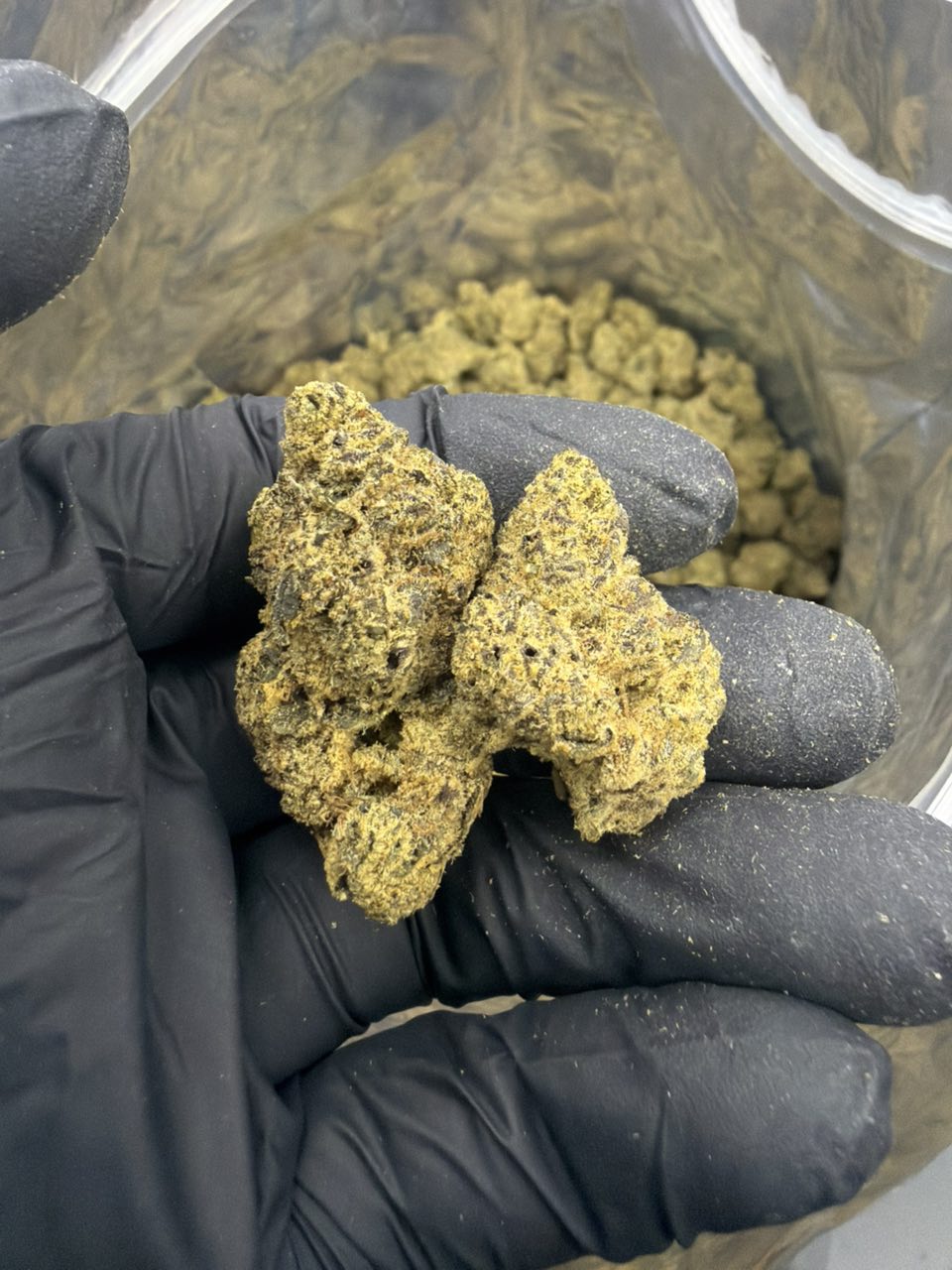 Blue plat — Hybrid available in Los Angeles