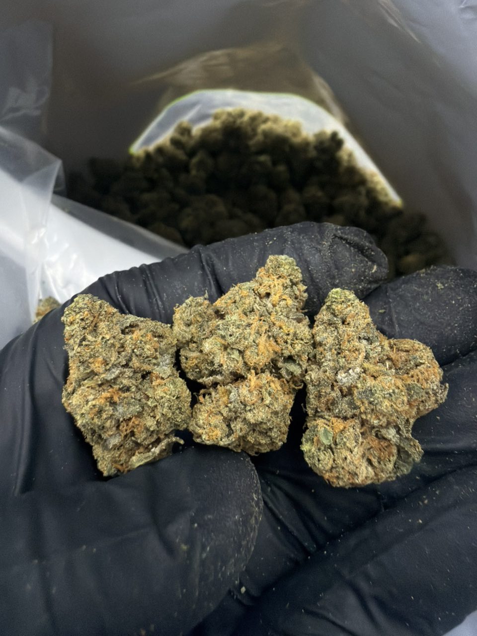 Layer Cake Apex — Hybrid available in Los Angeles